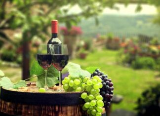 Вино, виноград, виноробство