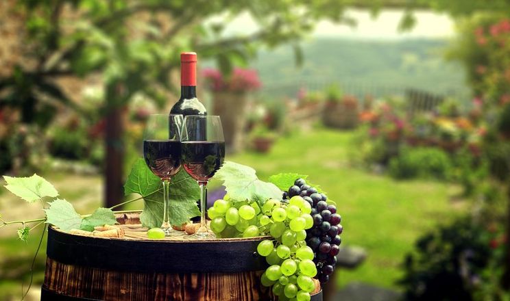 Вино, виноград, виноробство